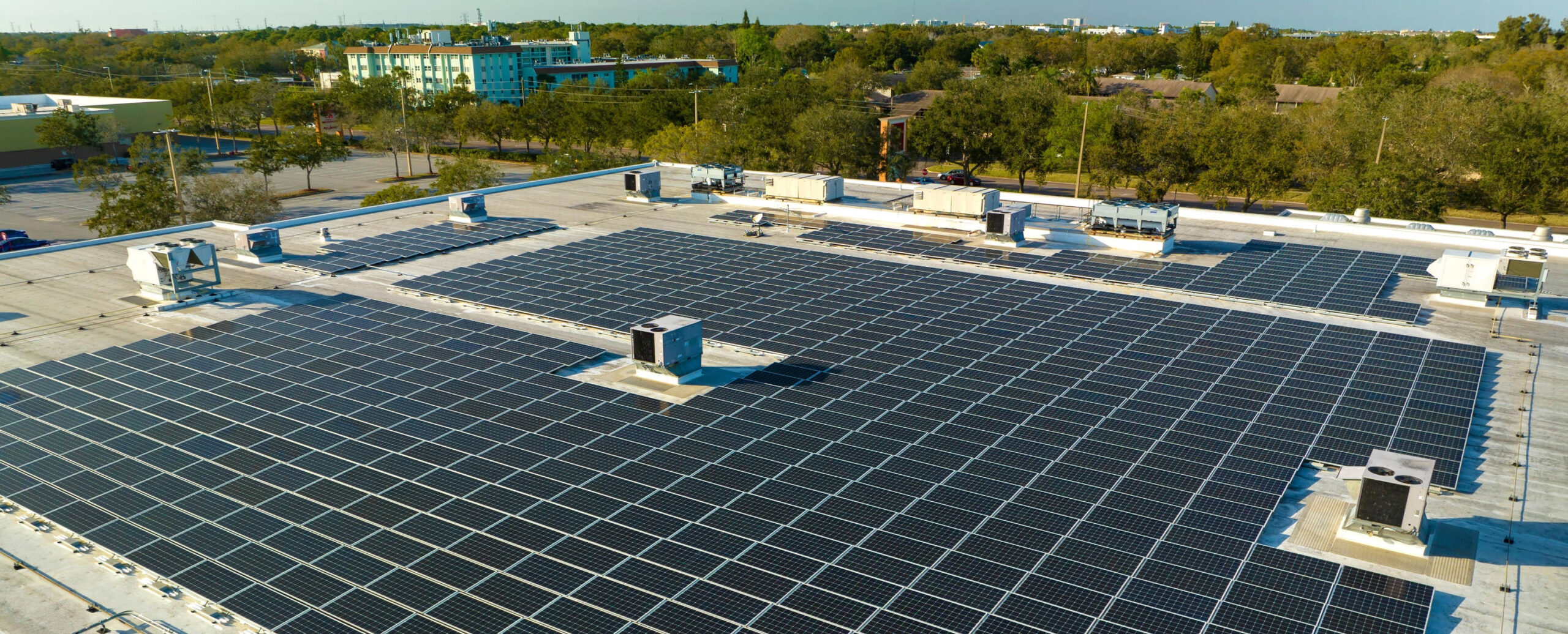 Net Billing: Όλοι οι τύποι και πώς να επιλέξετε τον κατάλληλο για εσάς